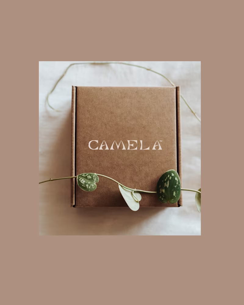Cover image for Camela