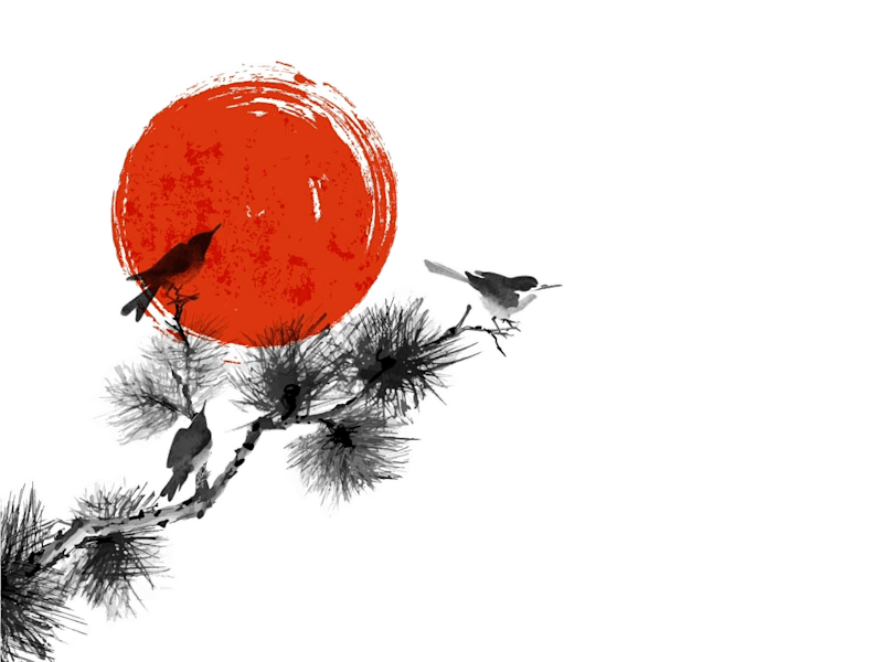 Cover image for HOME | Kajal Sheth