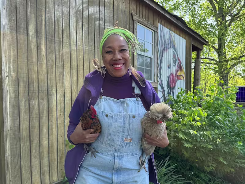 Cover image for FarmHer: Heniscity Farm