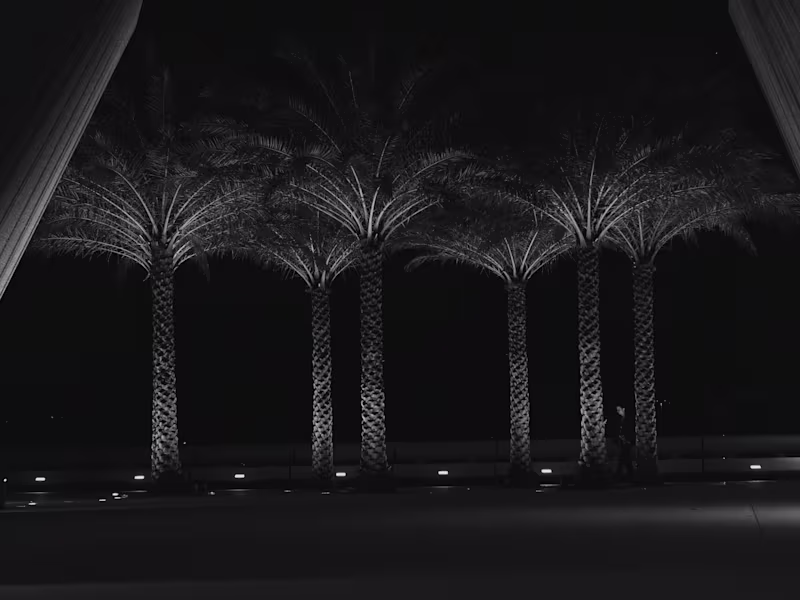 Cover image for Yesterday, it rained