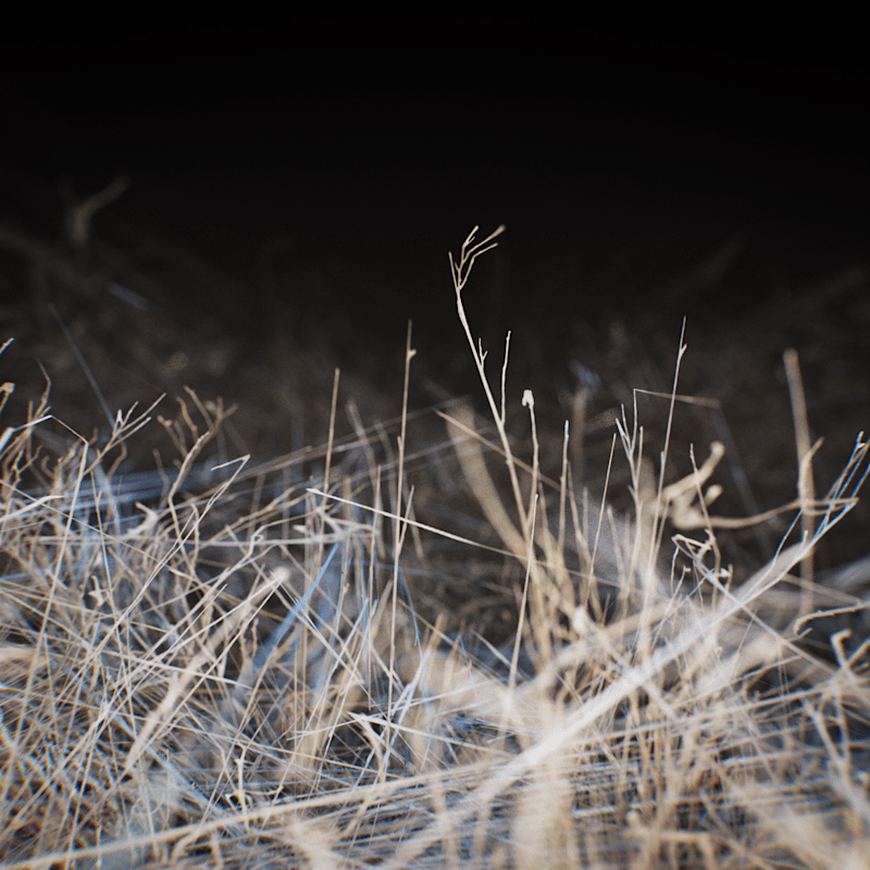 Cover image for Oat M - Off Season EP Cover Design