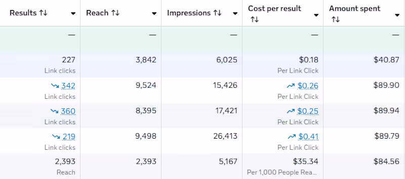 Cover image for 1 Month of Facebook Ads