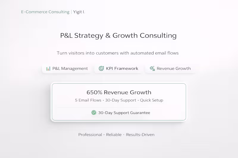 Cover image for E-Commerce P&L Management & Growth Strategy