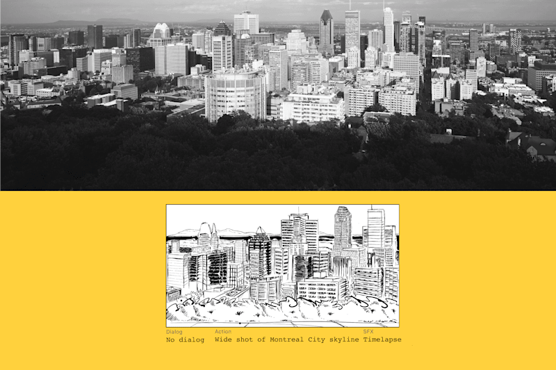 Cover image for Storyboard for MCIT and PME MTL's videos