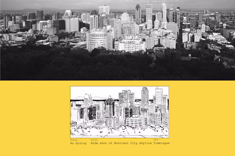 Cover image for Storyboard for MCIT and PME MTL's videos