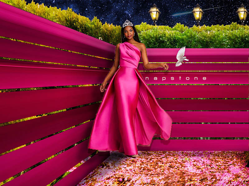 Cover image for Pink Houses [Not related to the American classic song lol]