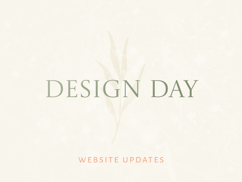Cover image for Dedicated day to update and refine your site