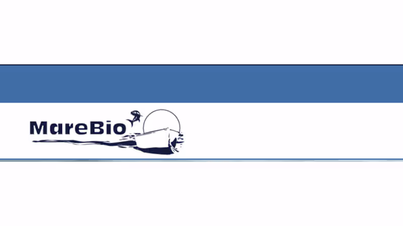 Cover image for Mare Bio