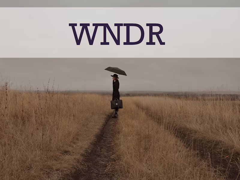 Cover image for WNDR