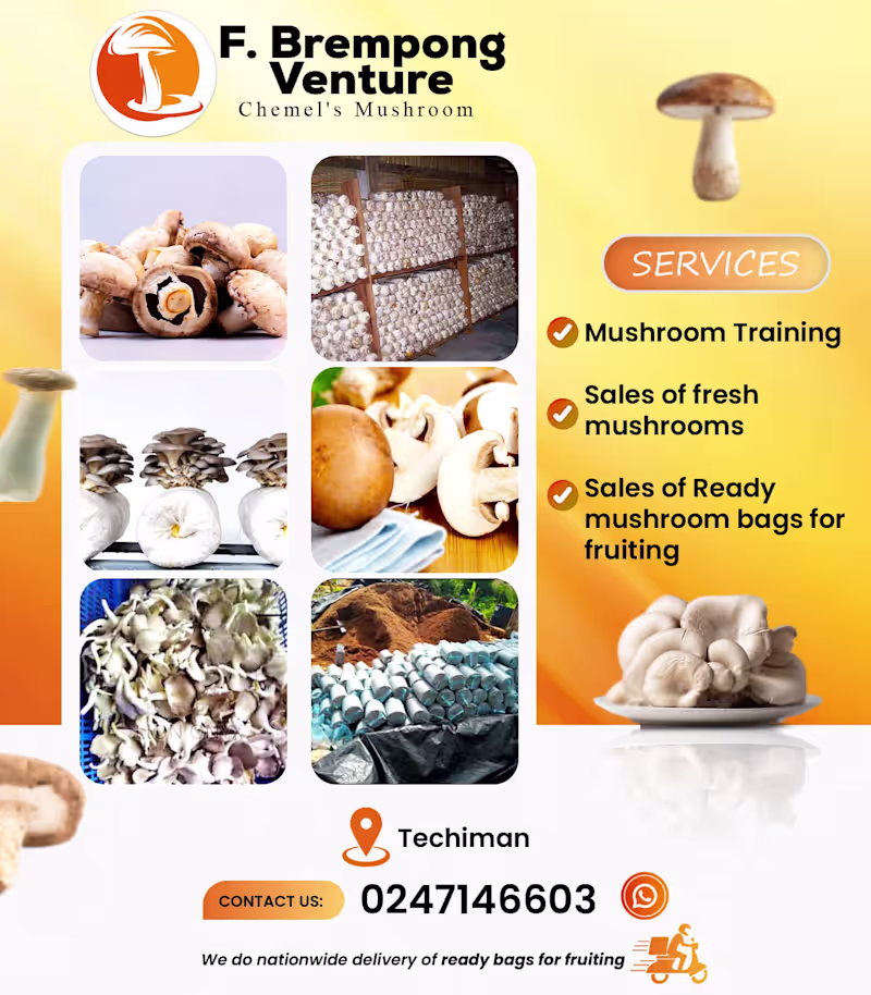 Cover image for Mushroom Flyer