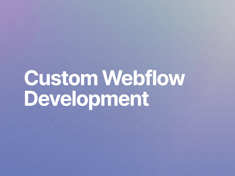 Cover image for Custom Webflow Development