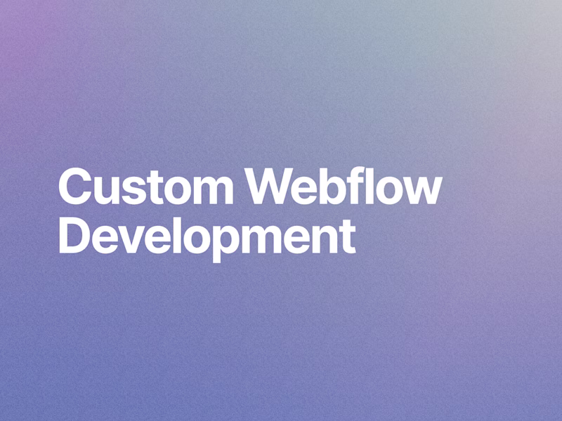 Cover image for Custom Webflow Development