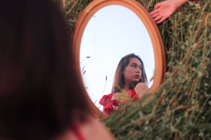 Cover image for Fashion