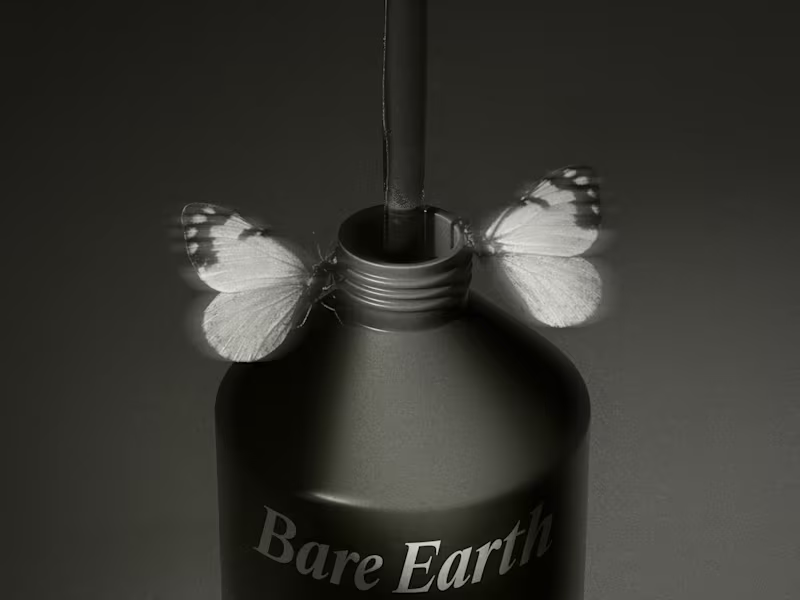 Cover image for Bare Earth is a nature