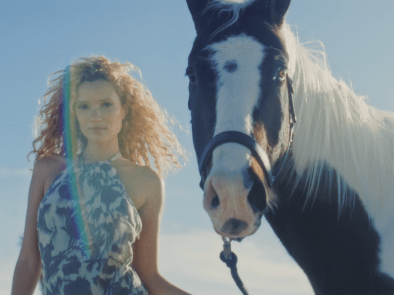 Cover image for Motel Rocks: SS25 'Untamed'