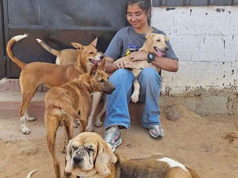 Cover image for Words that sell: thought leadership blogs, SEO, UX & scripts