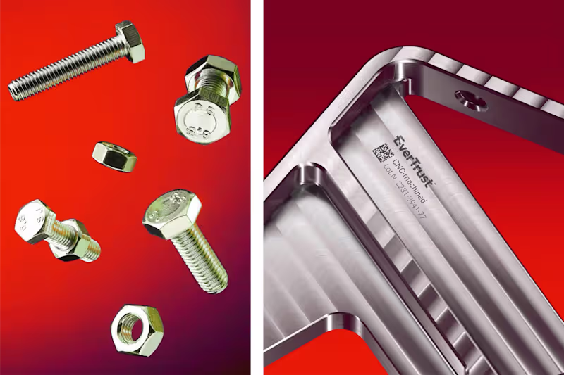 Cover image for Brand System Development for EverTrust