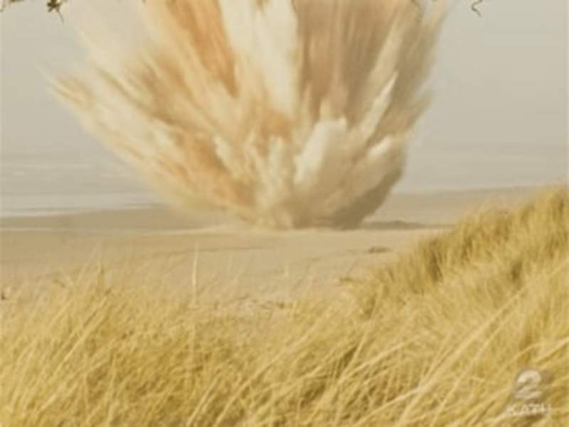 Cover image for Exploding whale