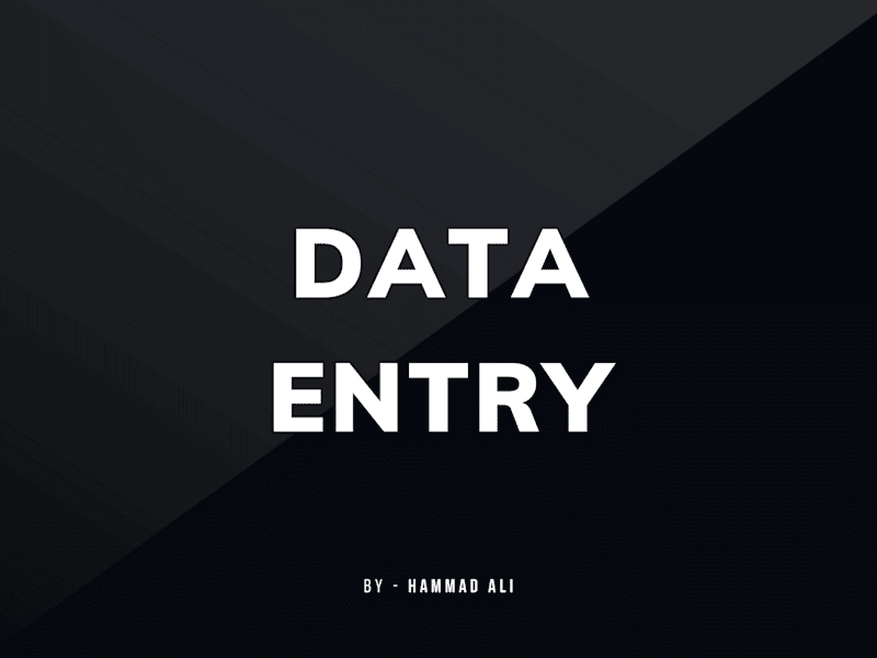 Cover image for Data Entry Expert