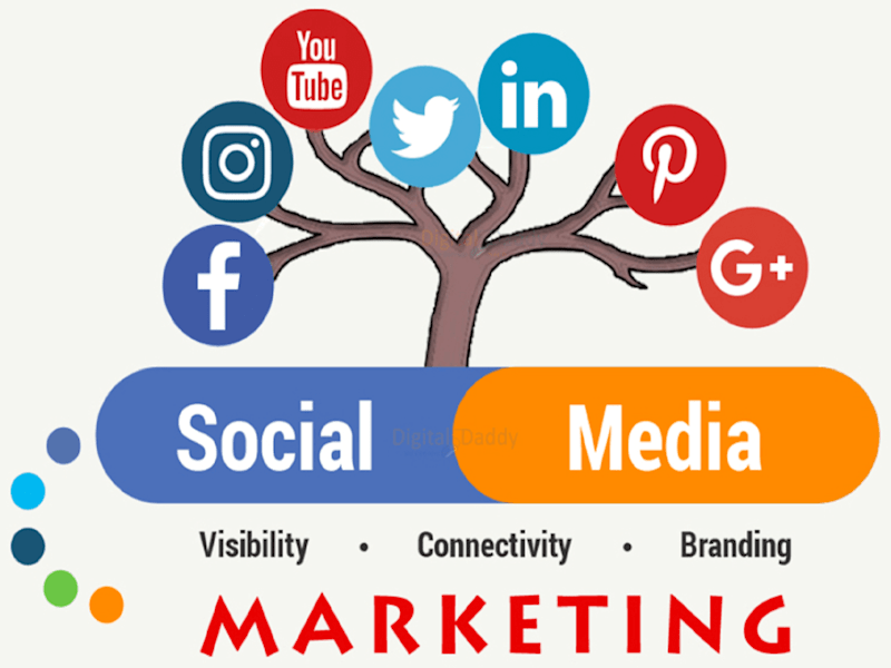 Cover image for I will do your all social media marketing management 