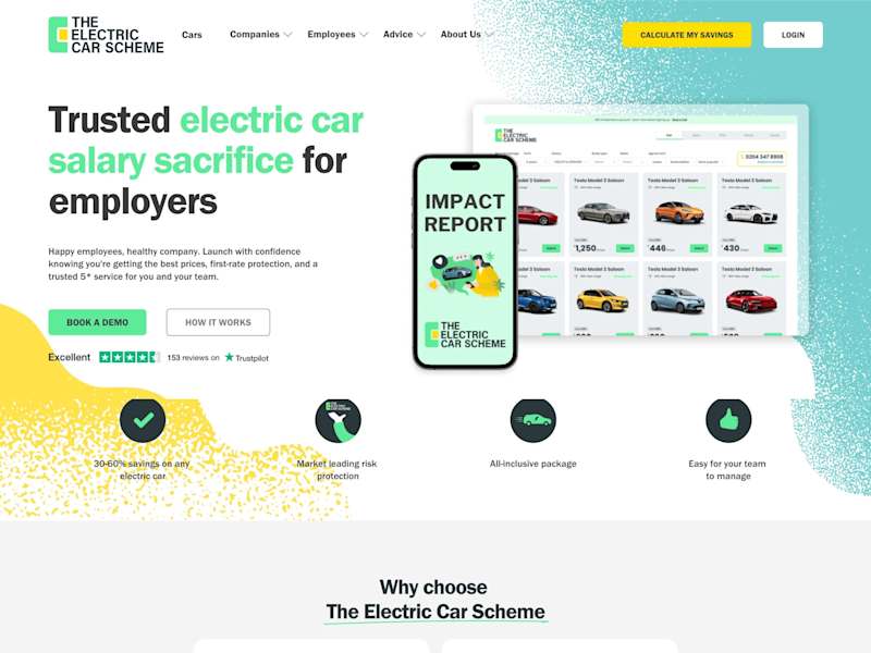 Cover image for The Electric Car Scheme
