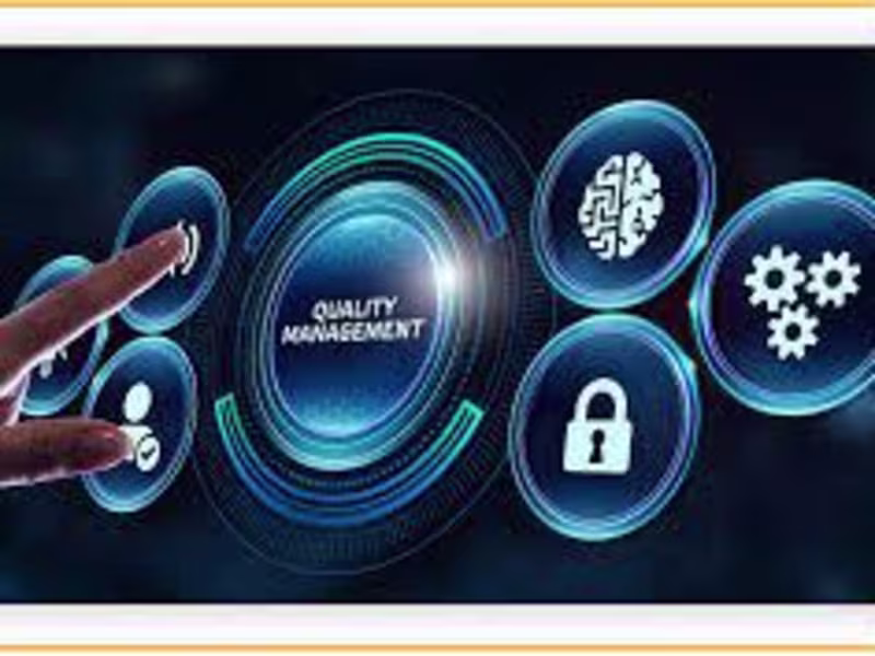 Cover image for Quality Management Systems and IMS