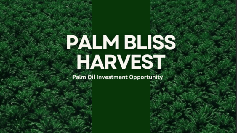 Cover image for Business Presentation Design for Palm Bliss Harvest
