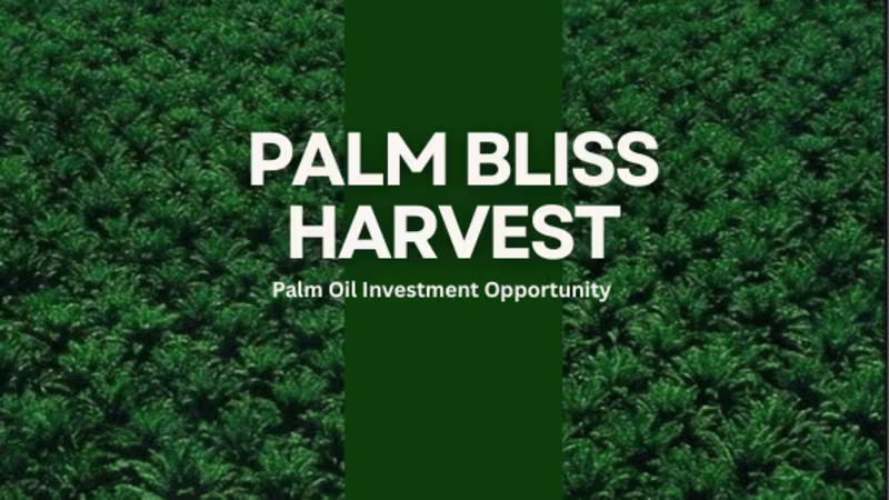 Cover image for Business Presentation Design for Palm Bliss Harvest