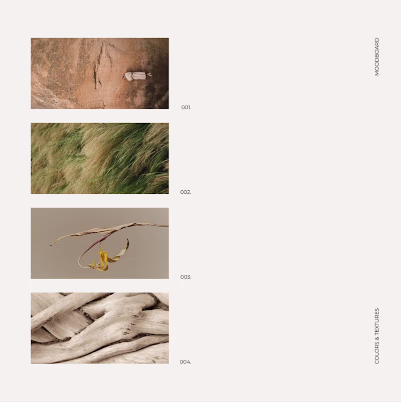 Cover image for À La Carte ~ Additional design services