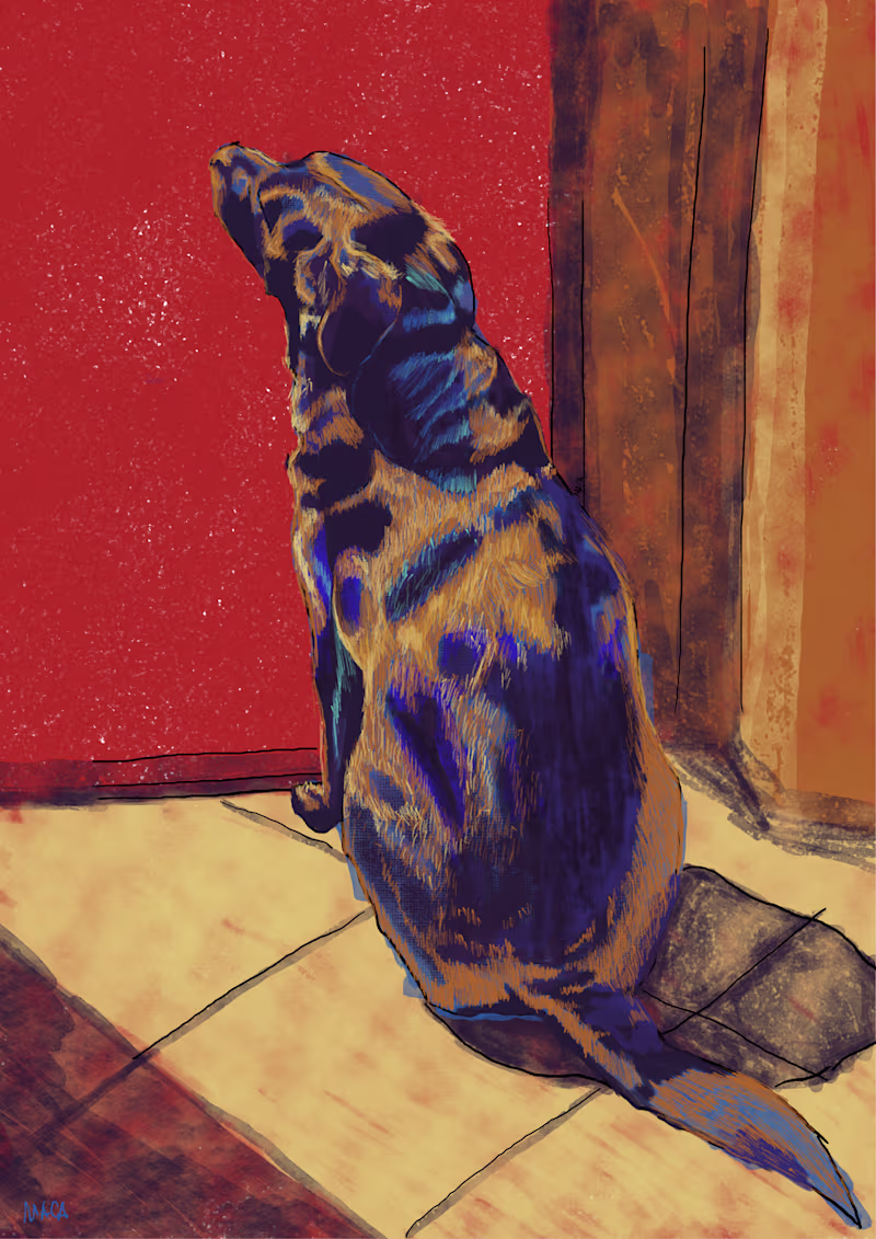 Cover image for Anubi 🌞 Latest illustration