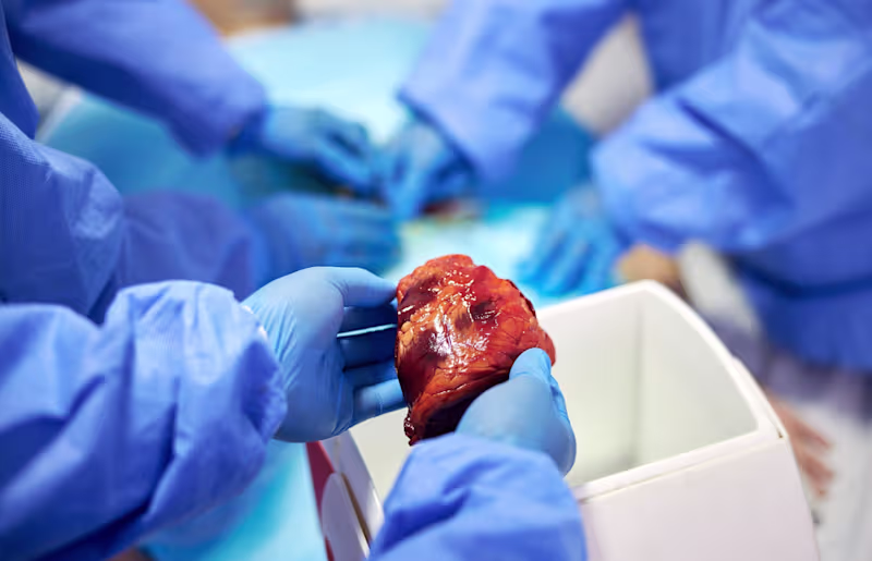 Cover image for How Xenotransplantation Moved To Lifesaving Reality
