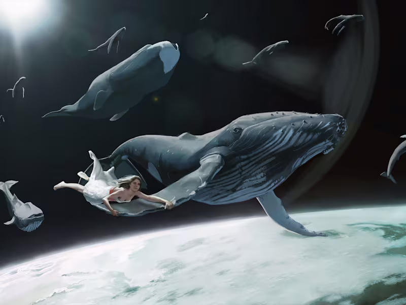 Cover image for Professionally illustrated book covers