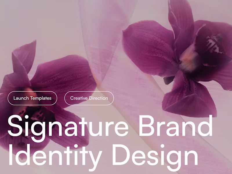 Cover image for Signature Brand Identity Design