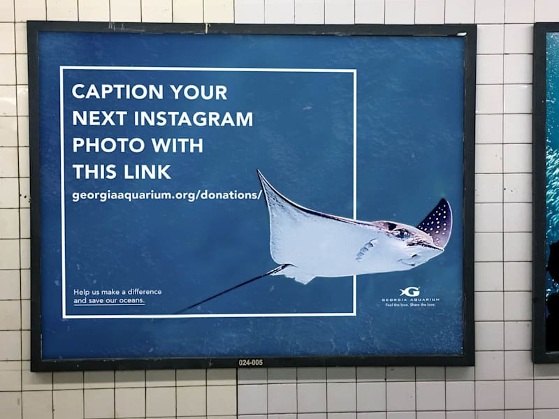 Cover image for Brand Marketing Design 