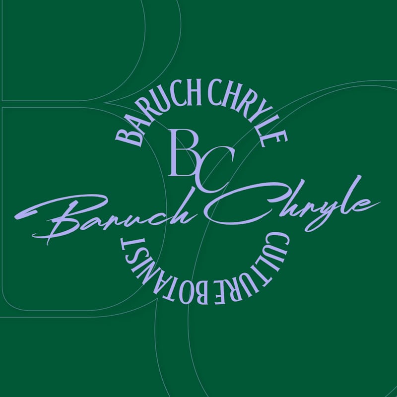 Cover image for Baruch Chryle