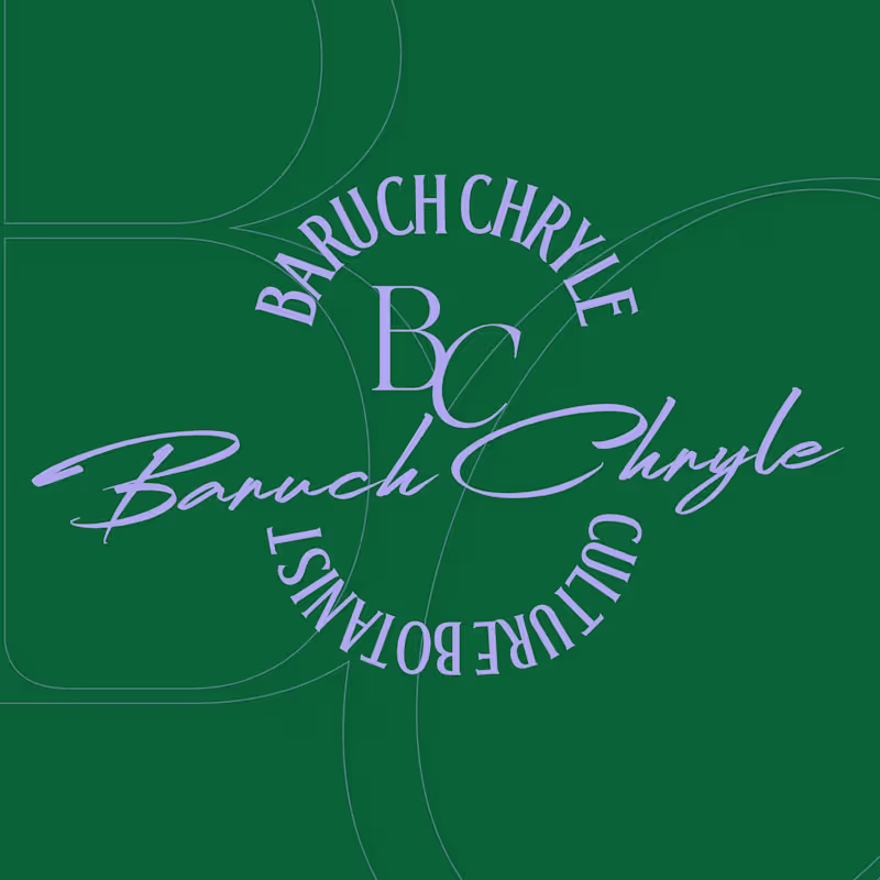 Cover image for Baruch Chryle