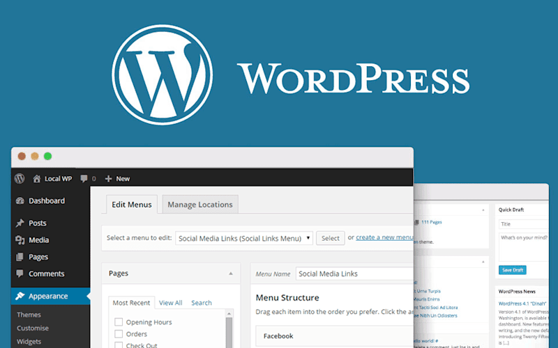 Cover image for WordPress Website Design and Development