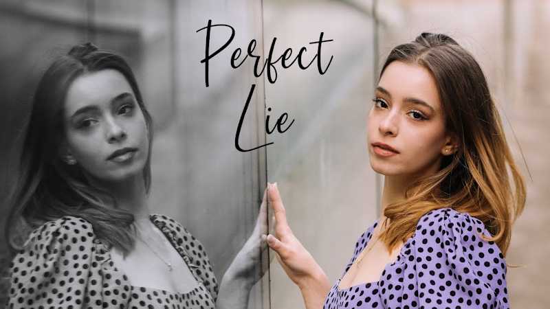 Cover image for Perfect Lie - Antonia Radulescu