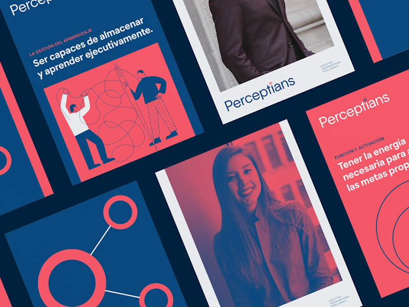 Cover image for Brand Creation for New Leadership Model Consulting Firm