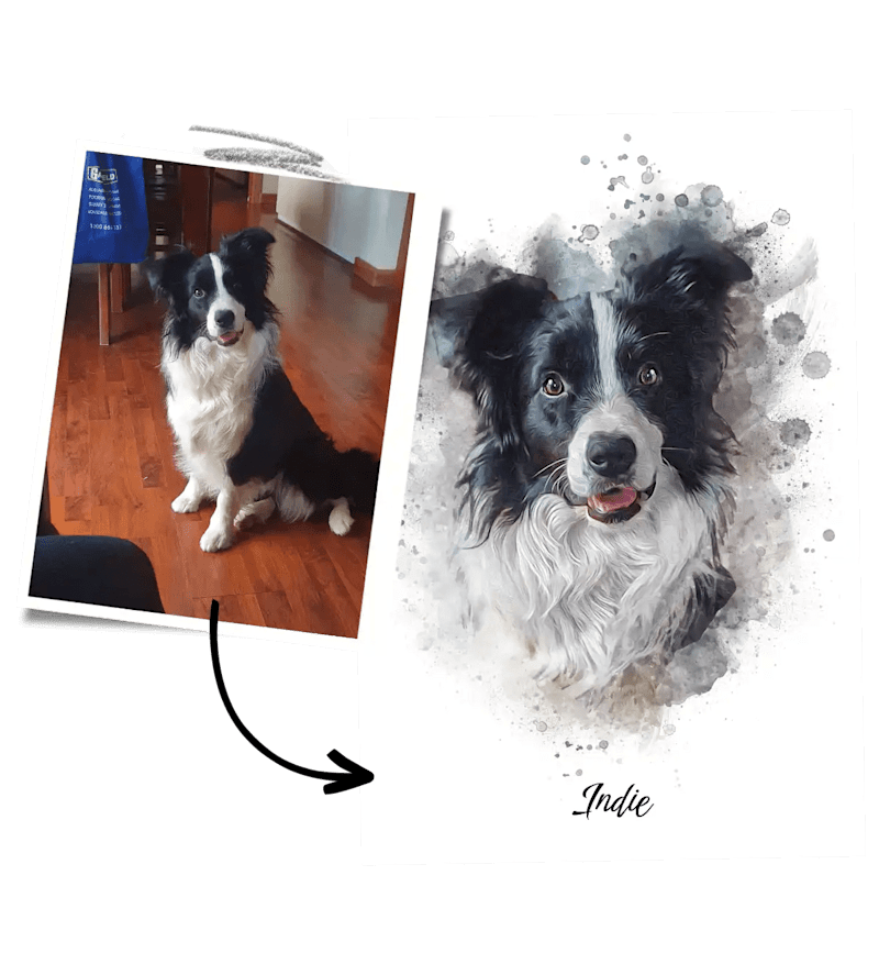 Cover image for How Poster & Paw Became Australia’s Top Pet Portrait Ecommerce