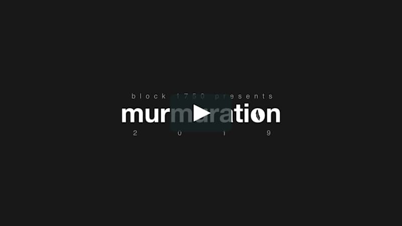 Cover image for Music Video (Commercial) - Murmuration 2019