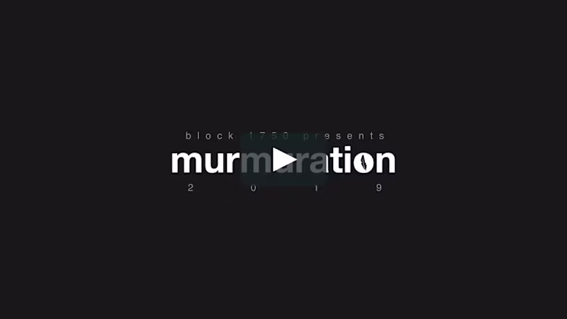 Cover image for Music Video (Commercial) - Murmuration 2019