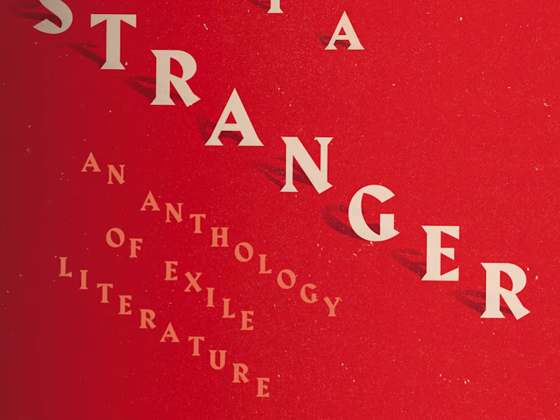 Cover image for The Heart of a Stranger