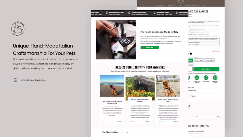 Cover image for trepontiusa