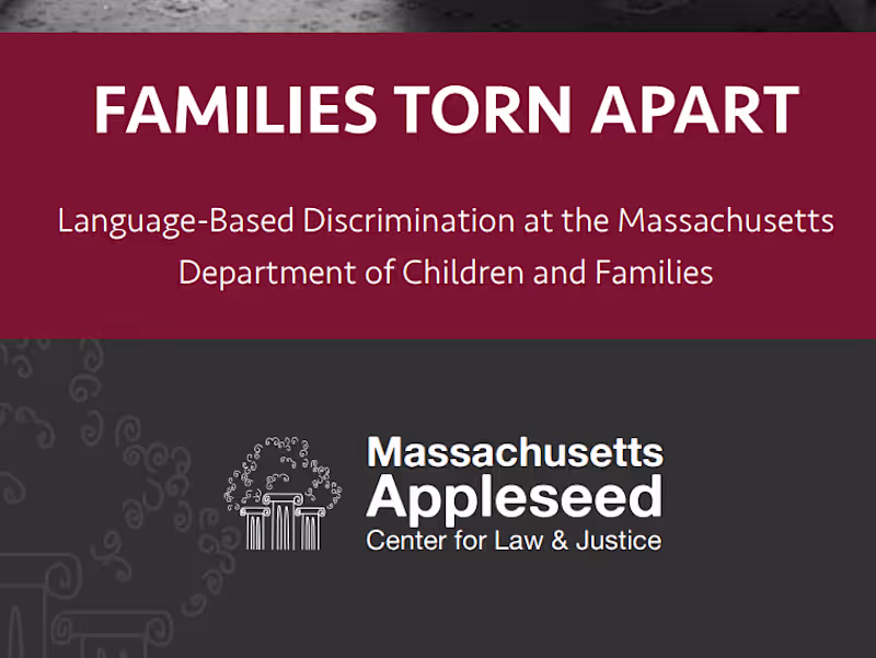 Cover image for Language Discrimination Research