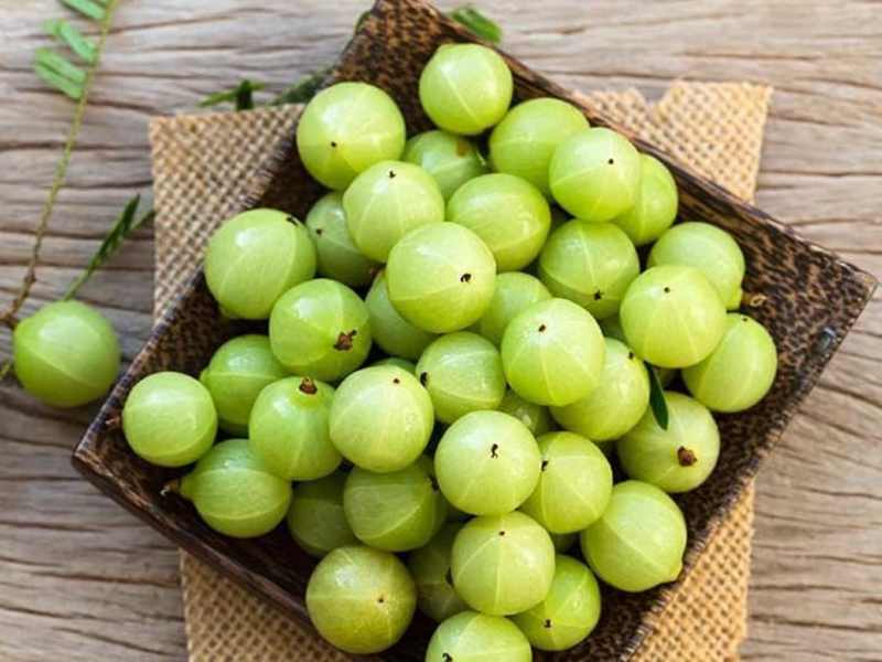 Cover image for Indian Gooseberry 