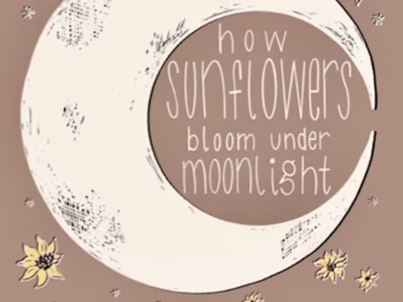 Cover image for book editing & marketing 'how sunflowers bloom under moonlight' 