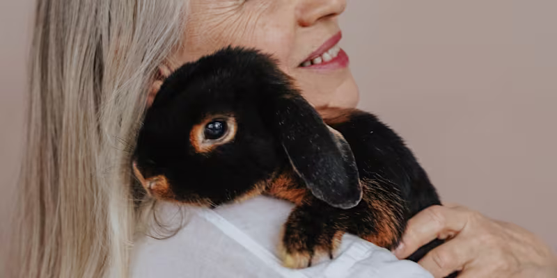 Cover image for No Cosmetic Needs Tested on Animals to Prove It’s Safe