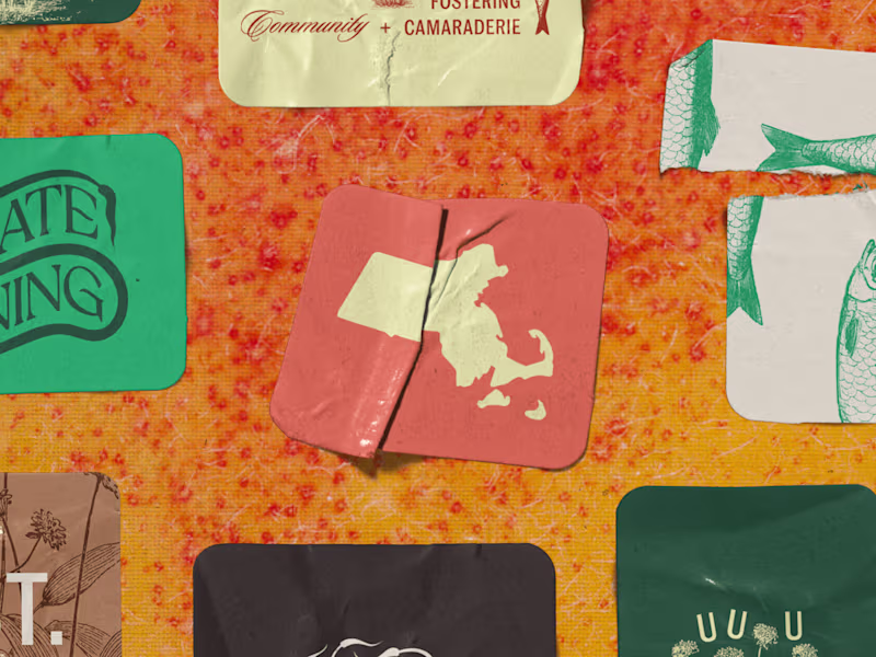 Cover image for Logo + Identity System