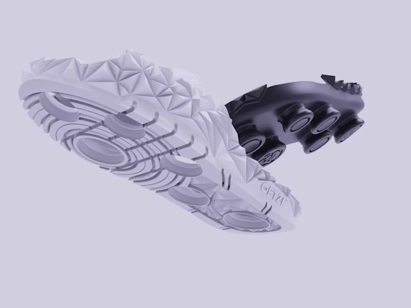 Cover image for Sustainable Footwear